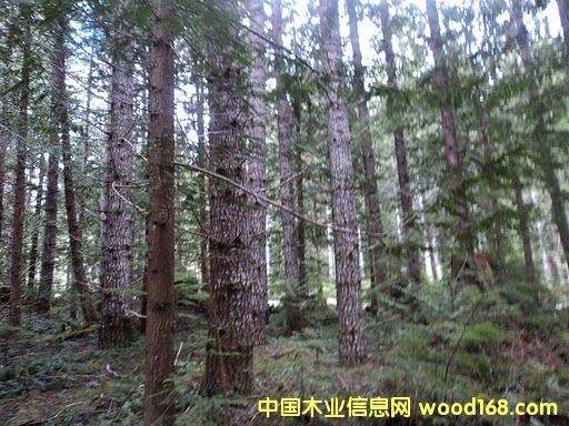 ԭľ���ô��Ԕ��(x��)��B