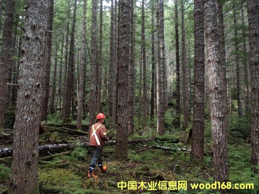 ���ô��ֵص�Ԕ��(x��)��B