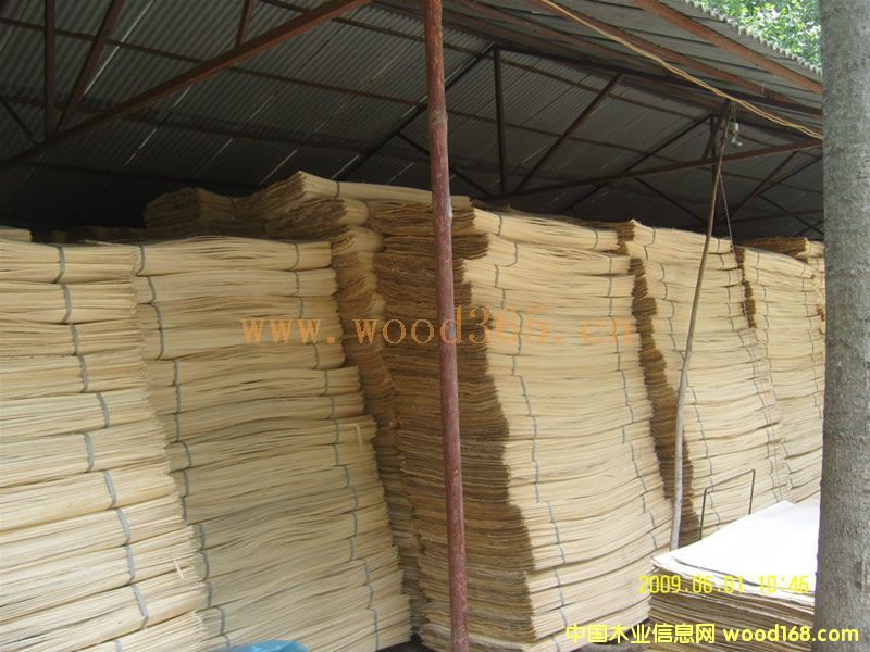 ��ľ�ΰ��Ԕ��(x��)��B