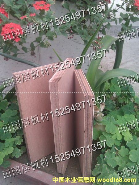 ��¡ľ��Ԕ����B