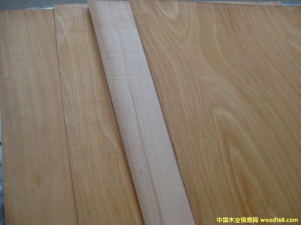 ��ľ�ΰ��Ԕ��(x��)��B