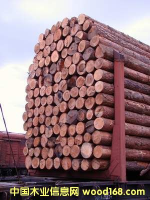 �����ɵ�Ԕ����B