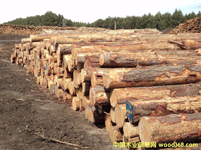 ݗ���ɵ�Ԕ����B