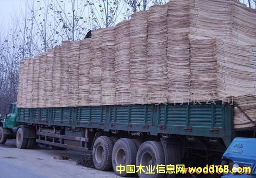 ��ľ�ΰ��Ԕ��(x��)��B