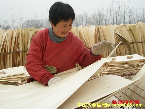 ��ľƤ�ӵ�Ԕ��(x��)��B