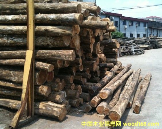 ��������ľ��Ԕ��(x��)��B