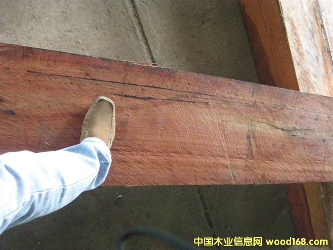 �����ް���֦��Ԕ��(x��)��B