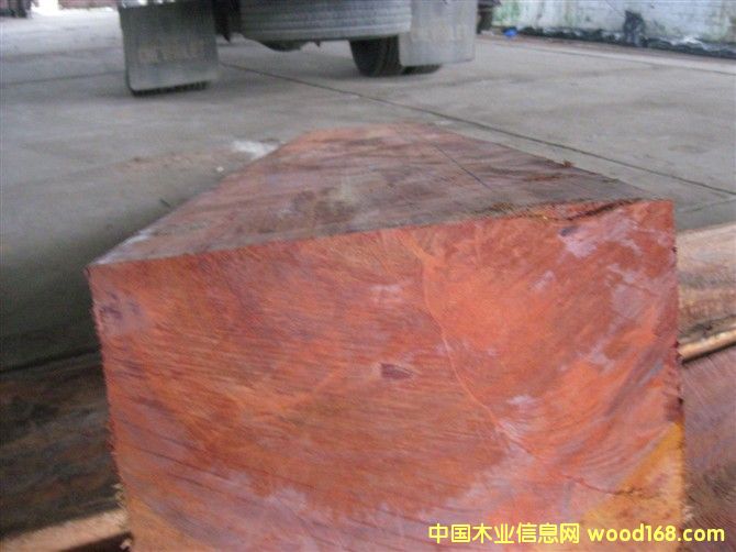 �����ް���֦