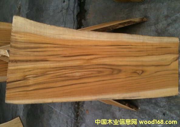 ��������ľ��Ԕ��(x��)��B