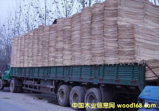 ��ľ��Ƥ��Ԕ����B