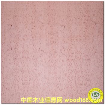 [��] ���V��ʢ����Ȼ��ľȸ��ԭľľƤ����-�N���