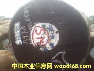 �c���鿴�F��ľ�Ŵ�DƬ