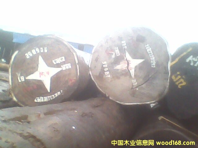 �c���鿴��̴���Ŵ�DƬ