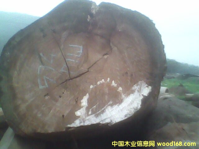 �c���鿴���ǹ��Ŵ�DƬ