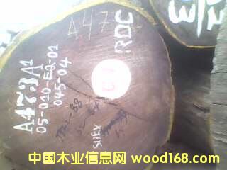 �c���鿴���u��Ŵ�DƬ