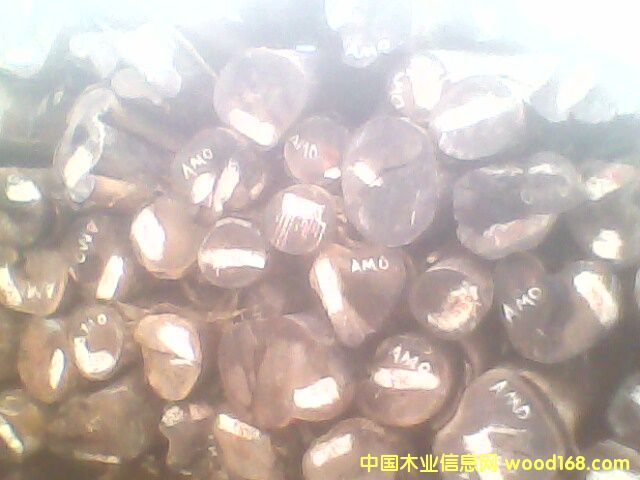 �c���鿴�u��Ŵ�DƬ