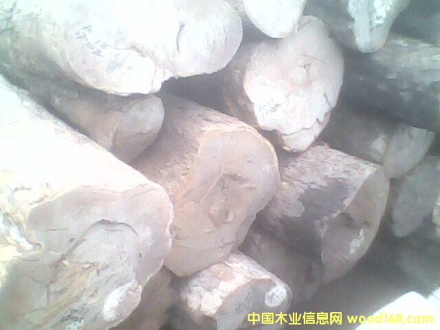 �c���鿴Ƥ�ҷŴ�DƬ