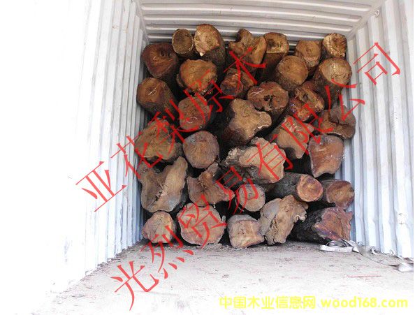 ������ԭľ