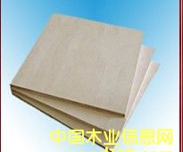 ģ���Ԕ����B