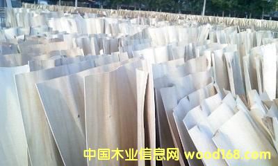 �c(di��n)���鿴��ľ��Ƥ�Ŵ�DƬ