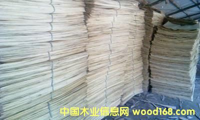 �c(di��n)���鿴��ľ�Aо��Ƥ�Ŵ�DƬ