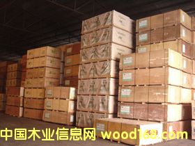 ������Ӱ��Ԕ��(x��)��B