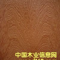 ���y��֦��Ԕ��(x��)��B