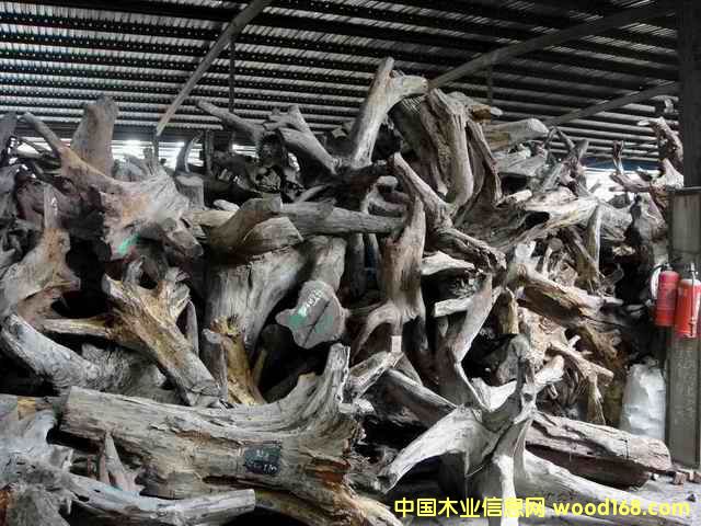 �ϓ�t��֦���^,���