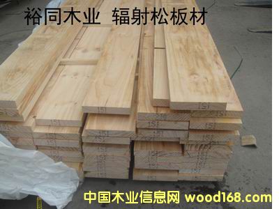 �c���鿴ݗ���ɰ�ķŴ�DƬ