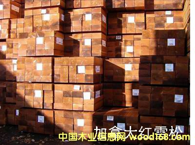 �c���鿴�tѩ�ɰ�ķŴ�DƬ