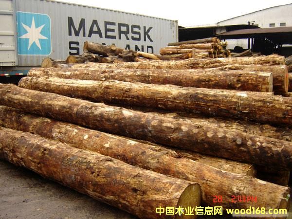 ��֦����ľ���W�����M(j��n)�ڈ��P(gu��n)��zȫ�״���