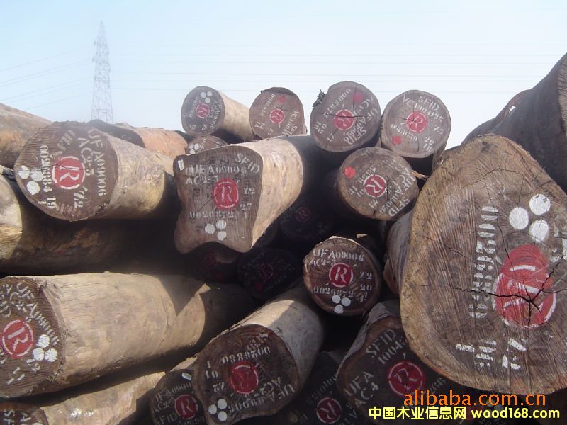 ɽë�Ρ�̴ľ��ɳ�����M(j��n)�ڈ�(b��o)�P(gu��n)��(b��o)�zȫ�״���