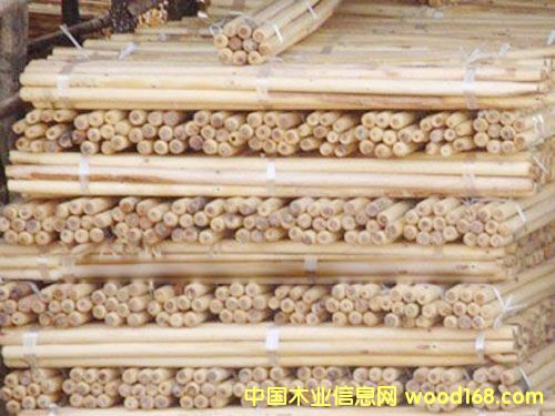 ���D�Aľ��Ԕ��(x��)��B