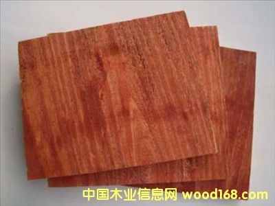 2��Ԕ����B