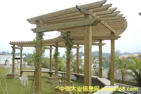 ����ľ����