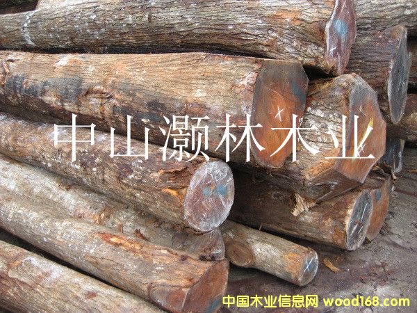 �һ���ԭľ1��Ԕ��(x��)��B