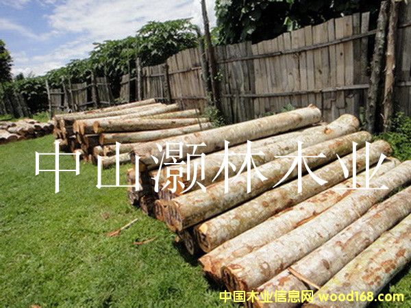 �R����ԭľ1��Ԕ��(x��)��B