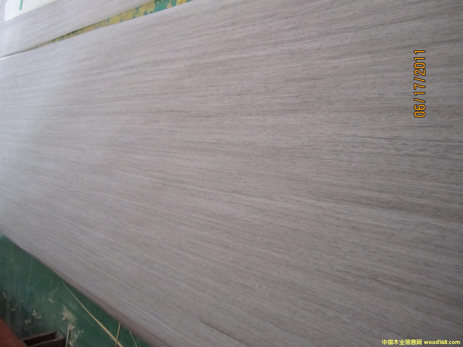 �Ƽ�ľƤ  �ں��� 204��Ԕ����B