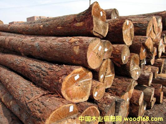 ���~��ԭľ��Ԕ��(x��)��B