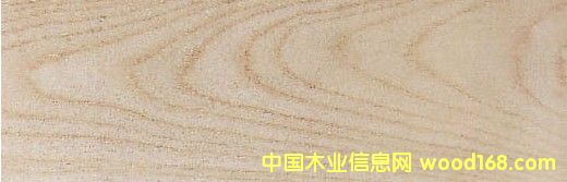 �c���鿴��ľ����ȸľ Hackberry�Ŵ�DƬ