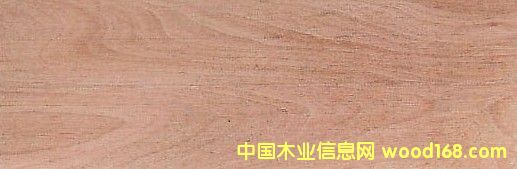 �c���鿴����ľɽ���ҷŴ�DƬ