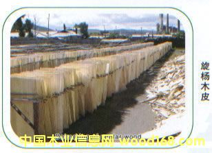 ����һ������^(q��)���Ԕ��(x��)��B