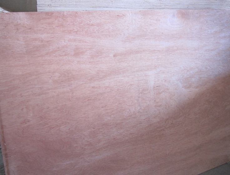 ��ľ�������ǹ�����b���z�ϰ�