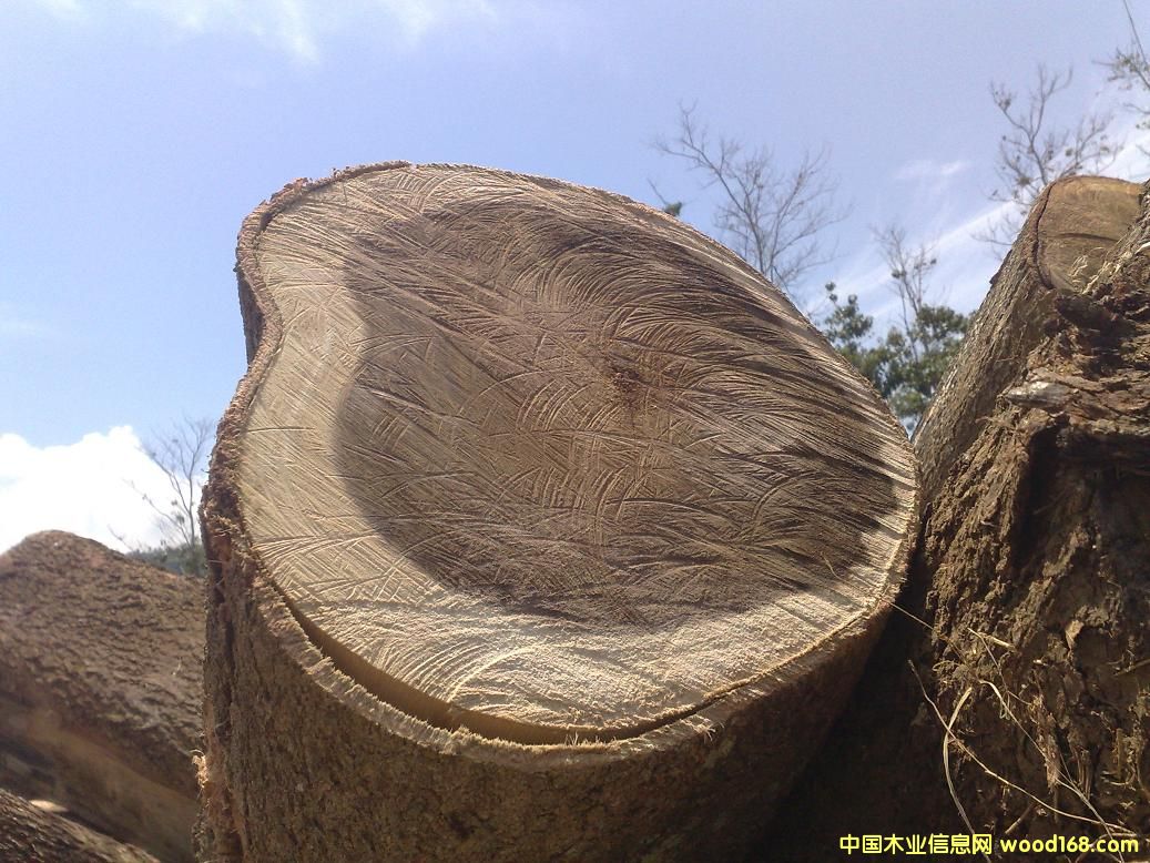 [��] ����(y��ng)��˼ľ