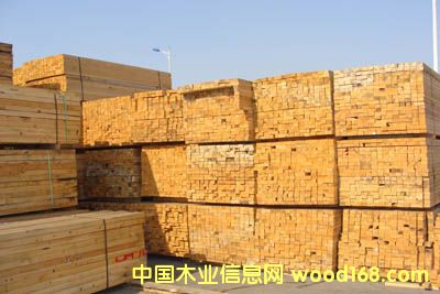 ����ģ�塢��ľ��Ԕ��(x��)��B