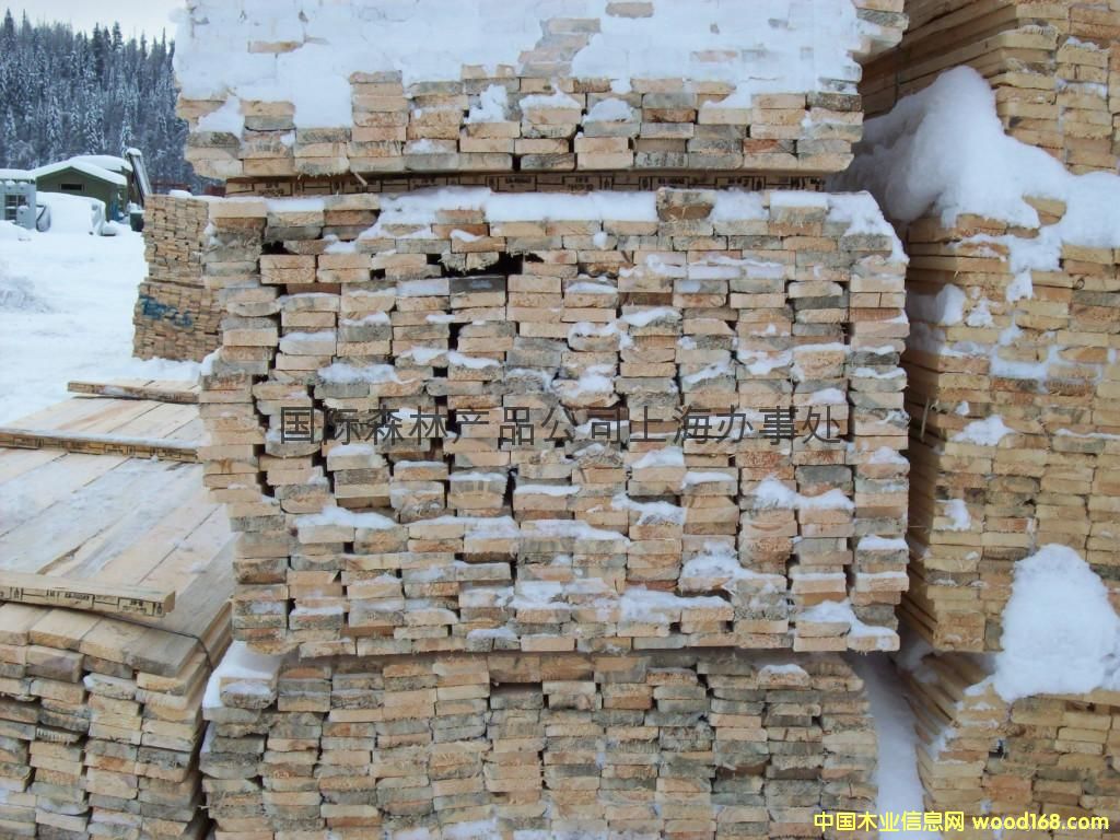 ����(y��ng)J#��SPF��ĵ�Ԕ��(x��)��B