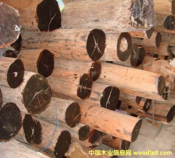 �c(di��n)���鿴��÷ľ�Ŵ�DƬ