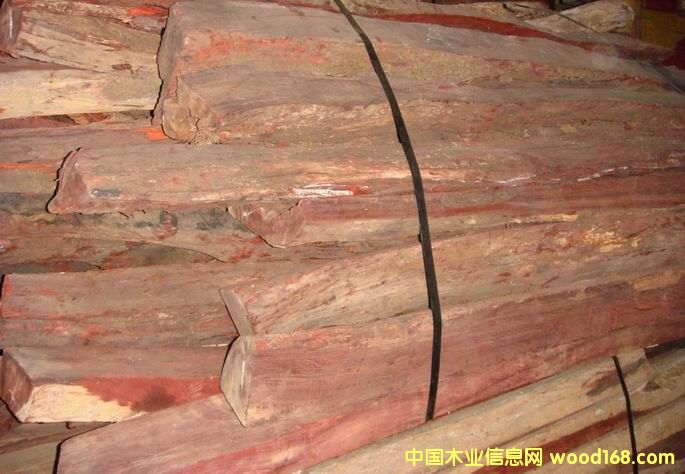 �c(di��n)���鿴С�~̴ľ�µ��Ŵ�DƬ