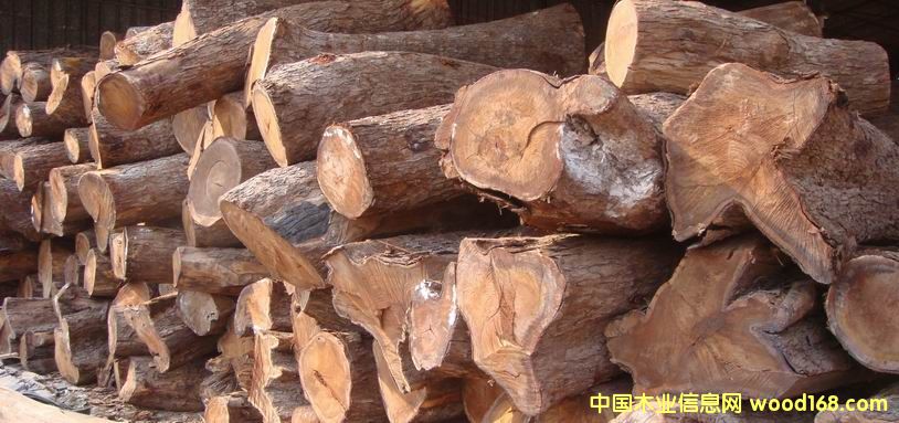 �c(di��n)���鿴�����S����ľ�Ŵ�DƬ