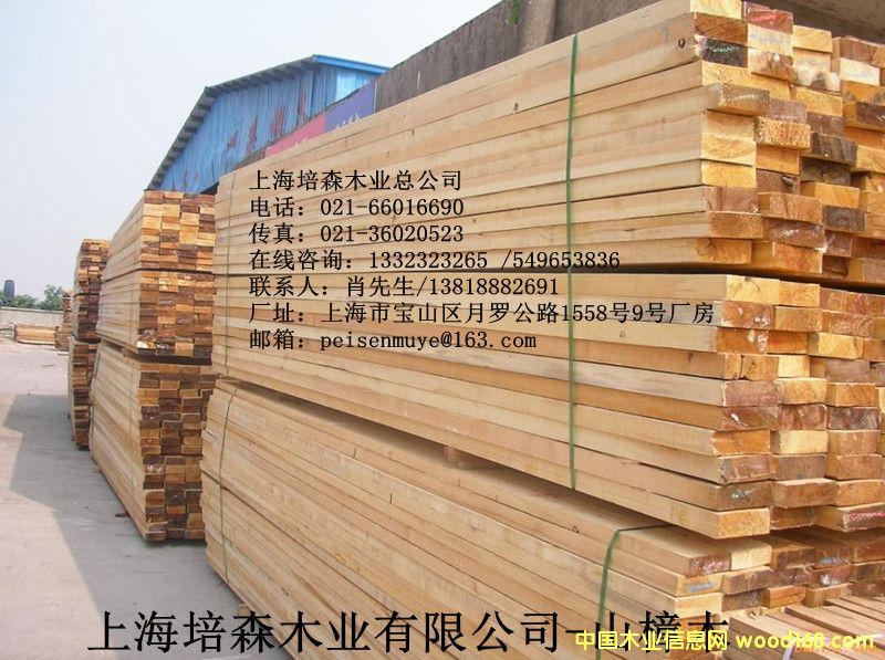 ɽ��ľ��2